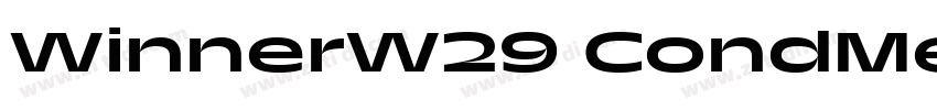 WinnerW29 CondMedium字体转换